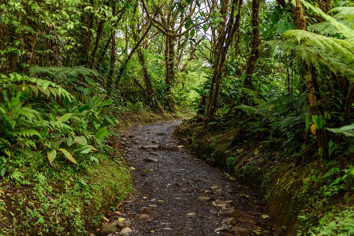 Rio Celeste Hiking, Sloth Sanctuary & Llanos de Cortes Waterfall Tour