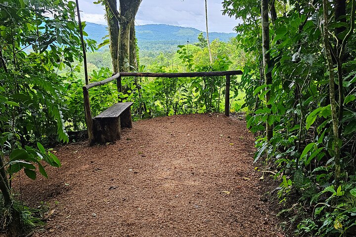 Rio Celeste Hiking, Sloth Sanctuary & Llanos de Cortes Waterfall Tour