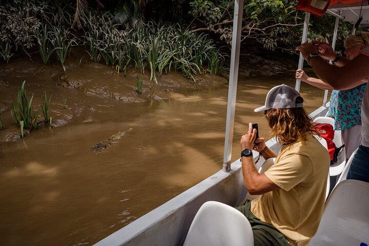 Palo Verde Boat Safari