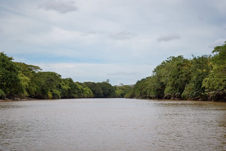 Palo Verde Boat Safari