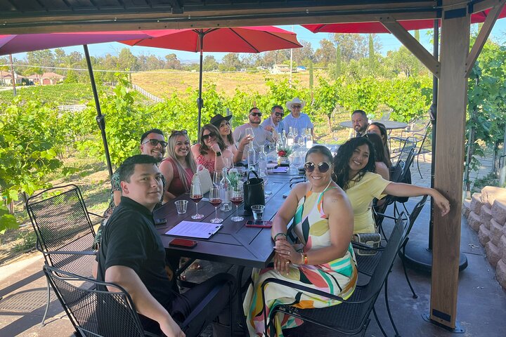 Temecula Wine Tour - 3 Wineries Guided By Local Experts