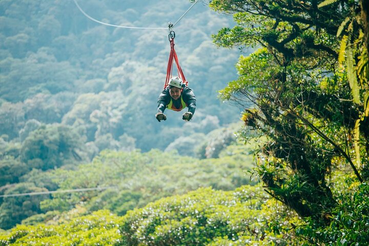 Zipline and Hanging Bridges Combo Tour in Monteverde Cloud Forest