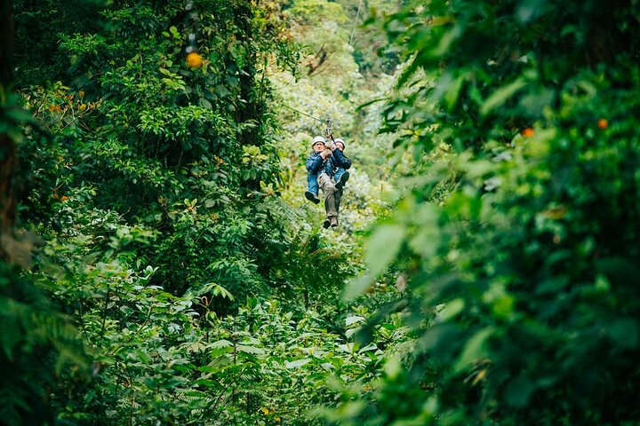 Zipline and Hanging Bridges Combo Tour in Monteverde Cloud Forest