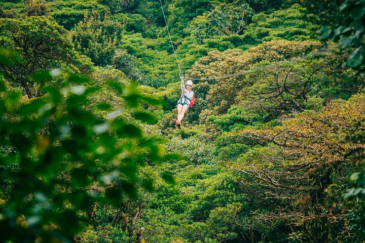 Zipline and Hanging Bridges Combo Tour in Monteverde Cloud Forest