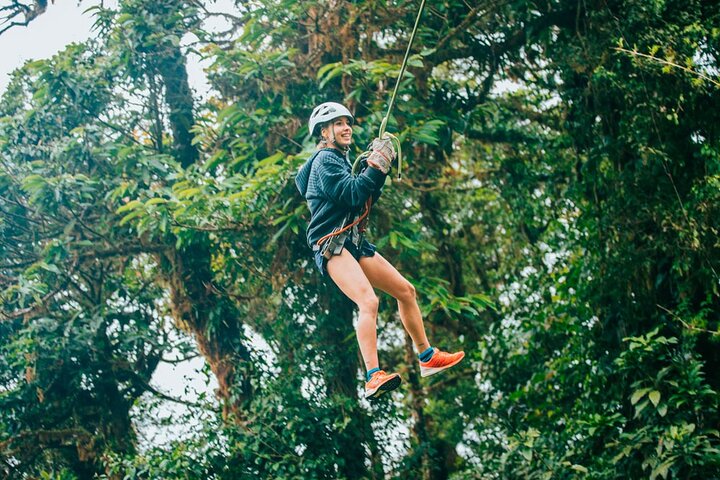 Zipline and Hanging Bridges Combo Tour in Monteverde Cloud Forest