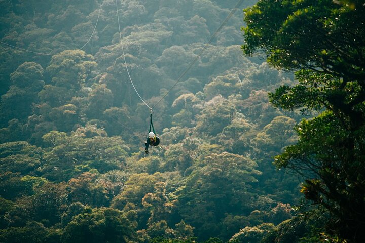 Zipline and Hanging Bridges Combo Tour in Monteverde Cloud Forest