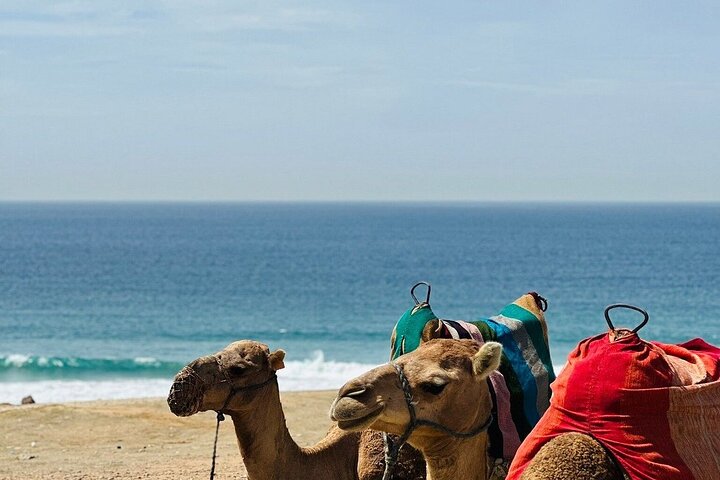 Tangier: Hercules Caves, Cap Spartel & Camel Ride Experience