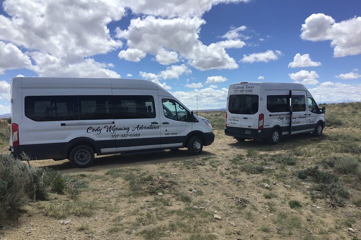 Red Canyon Wild Mustang Tours And Safaris In Cody Wyoming