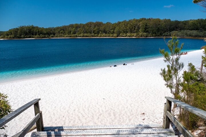 K'gari (Fraser Island) Day Tour - From Rainbow Beach