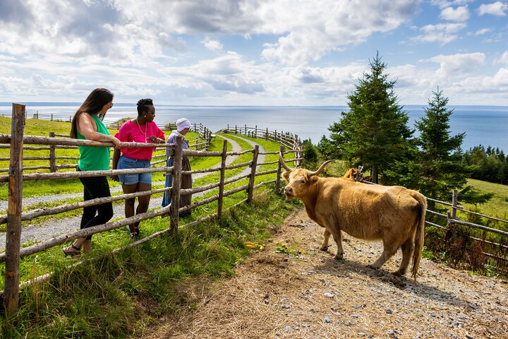Highland Village and Baddeck Tour for Cruise Excursion