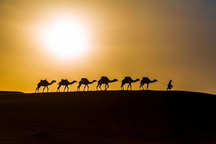 Camel Trekking & 1 Night in Merzouga Desert Camp
