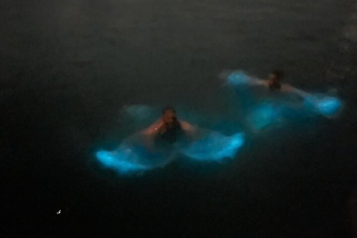 La Parguera Bio Bay Boat Ride and Swimming w/ San Juan Transport