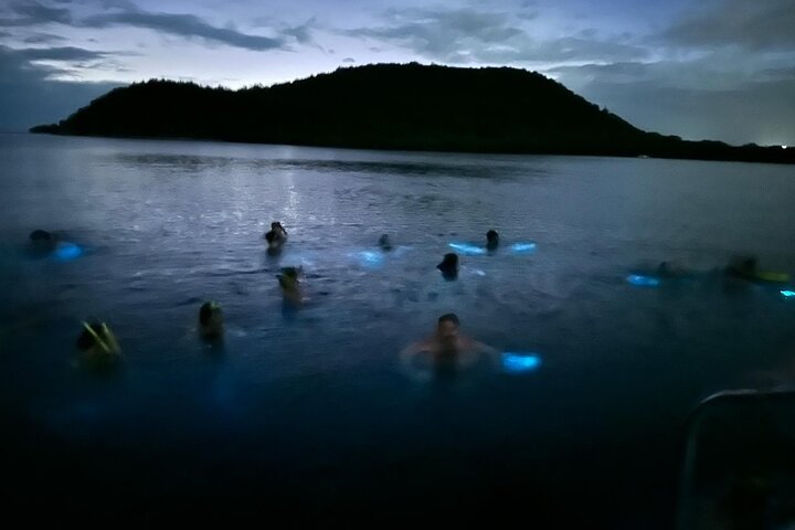La Parguera Bio Bay Boat Ride and Swimming w/ San Juan Transport
