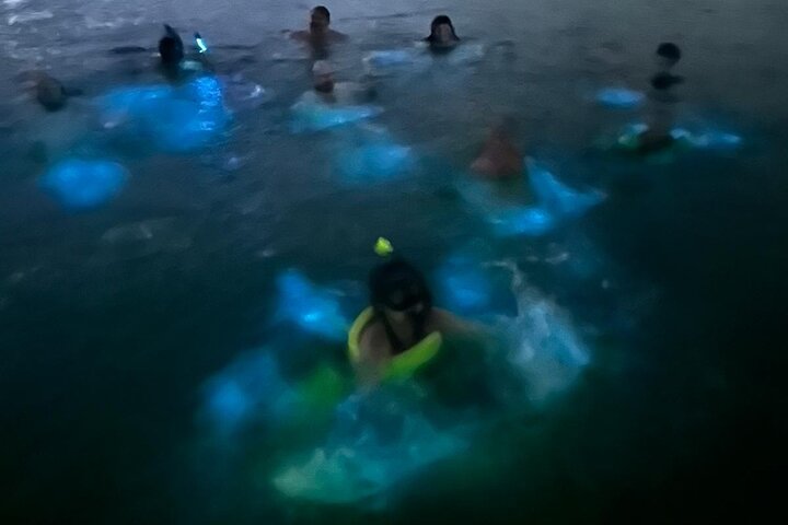 La Parguera Bio Bay Boat Ride and Swimming w/ San Juan Transport