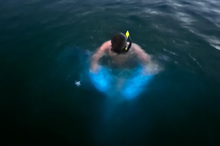 La Parguera Bio Bay Boat Ride and Swimming w/ San Juan Transport