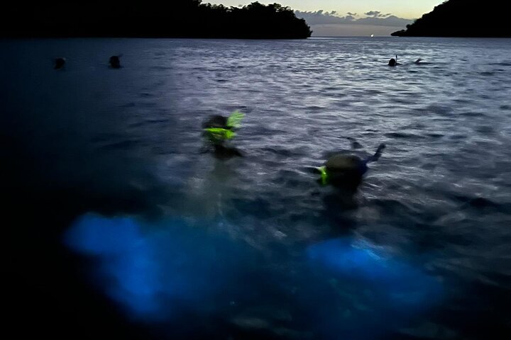 La Parguera Bio Bay Boat Ride and Swimming w/ San Juan Transport