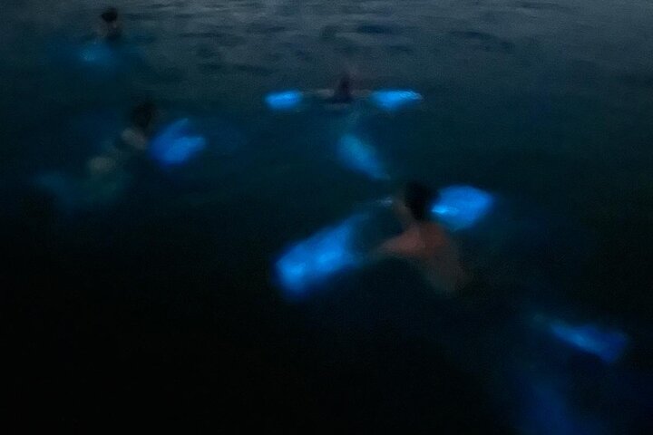 La Parguera Bio Bay Boat Ride and Swimming w/ San Juan Transport