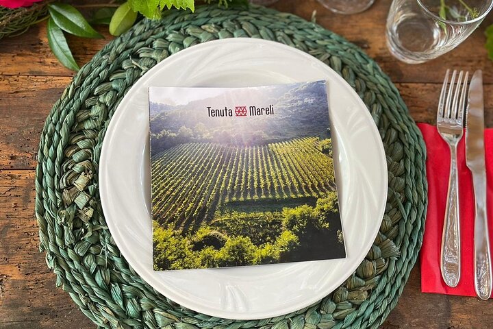 Lucca - Wine tasting at Tenuta Mareli