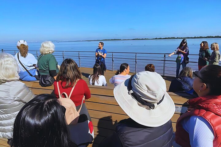 Guided Walk Through the Historic Center