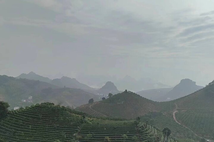 Qixianfeng Tea Plantation Tour in Yangshuo