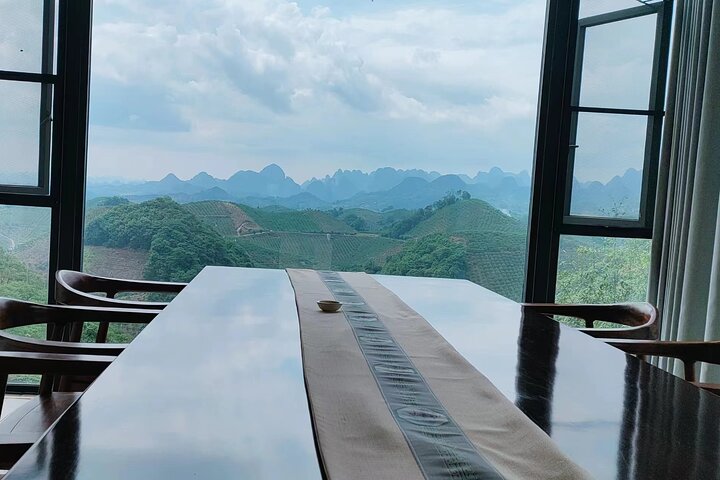Qixianfeng Tea Plantation Tour in Yangshuo