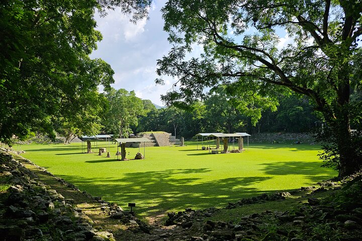 From San Pedro Sula: Mayan Ruins of Copan Day Trip