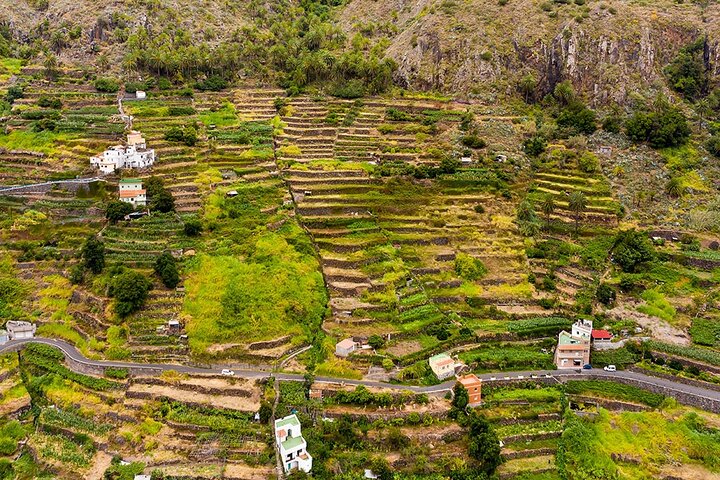 La Gomera Full Day Tour from Tenerife with ferry and lunch