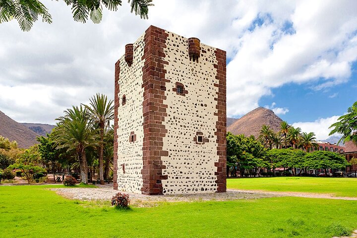 La Gomera Full Day Tour from Tenerife with ferry and lunch