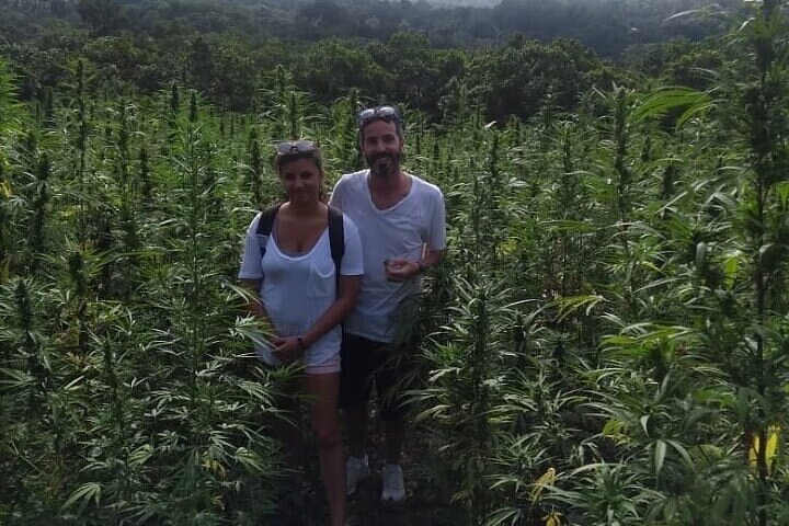 Jamaica Farm Private Dispensary Tour Montego Bay
