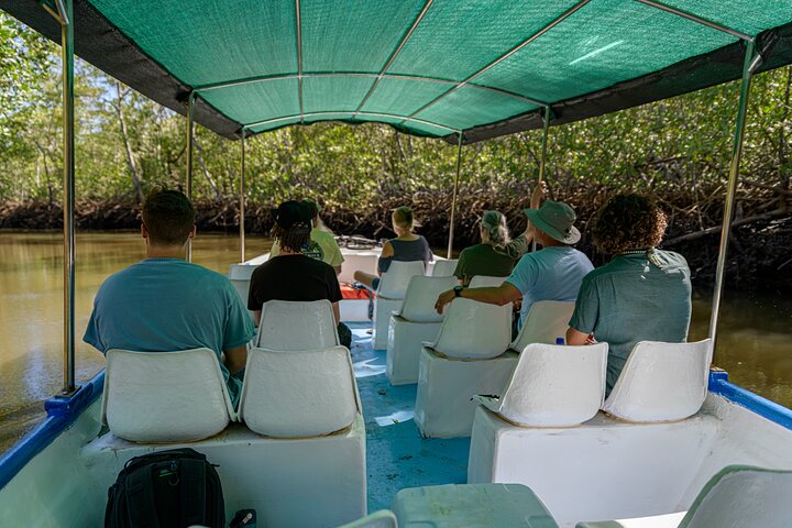 Tamarindo Estuary Boat Safari
