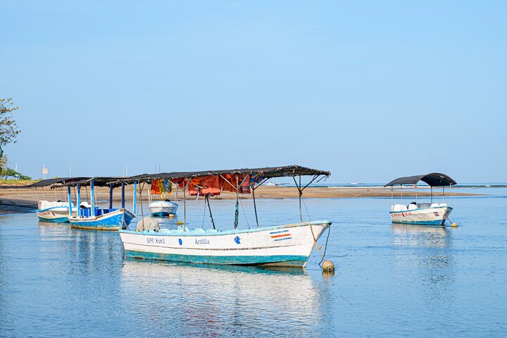 Tamarindo Estuary Boat Safari