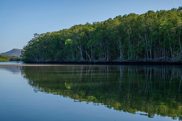Tamarindo Estuary Boat Safari