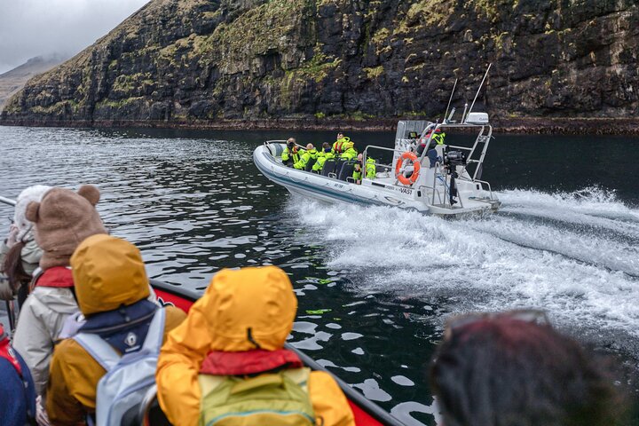 Guided Puffin Safari Boat Tour