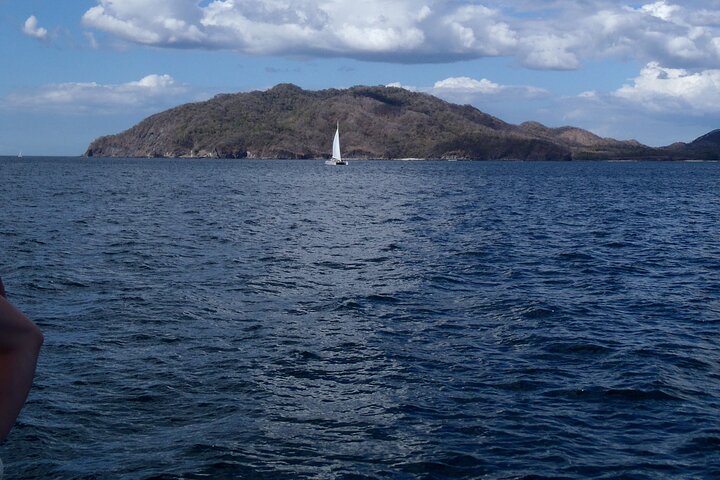 Catamaran Snorkel Sunset Cruise from Tamarindo or Playas del Coco