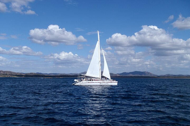 Catamaran Snorkel Sunset Cruise from Tamarindo or Playas del Coco