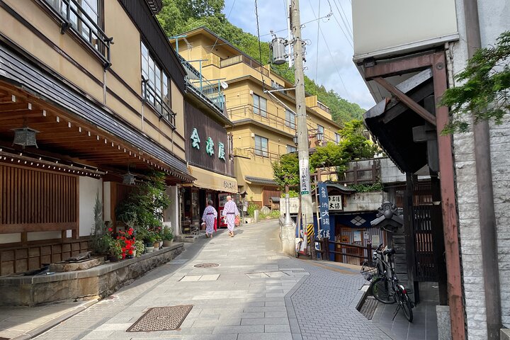 Relaxed Snow Monkeys & Shibu Onsen: Green Season Private Tour