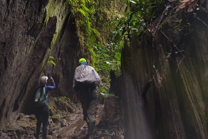 4-Day All-Inclusive Amazon Adventure: Explore Napo's Rainforest