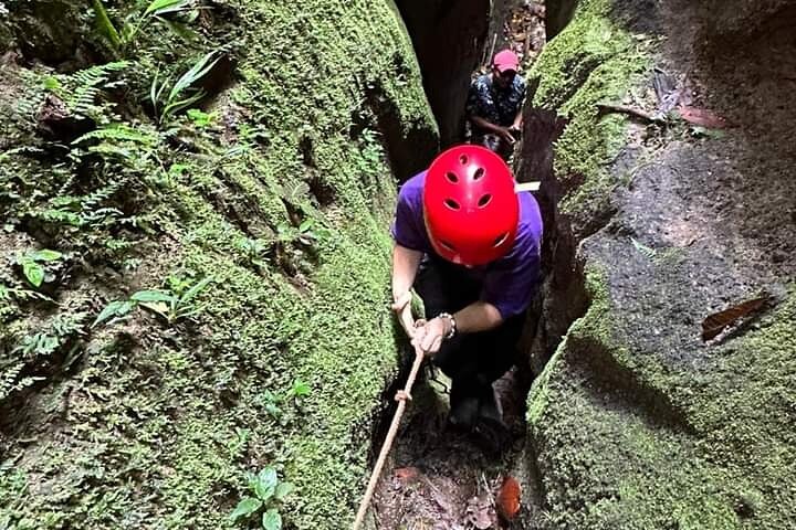 4-Day All-Inclusive Amazon Adventure: Explore Napo's Rainforest