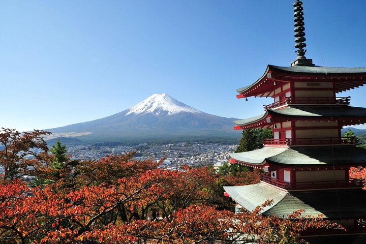 Private Tour to Mt. Fuji and Hakone (Fully Licensed Operator)