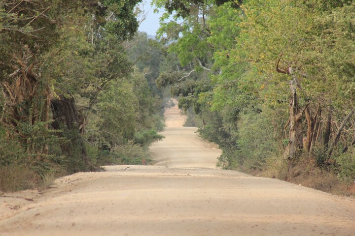 From Ella:Shuttle to Tangalle/Mirissa/Galle with Yala Safari Tour