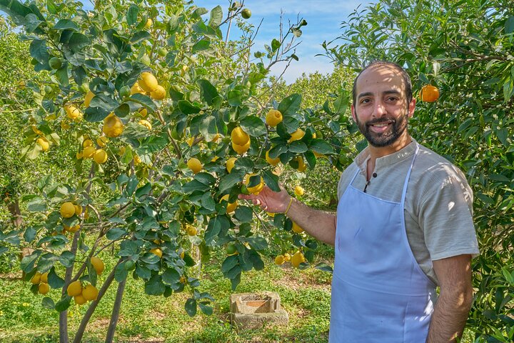 Cooking class in a villa with Palermo view