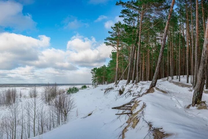Best of Latvia, Jurmala, Kemeri N Park, Kuldiga City, Food & More