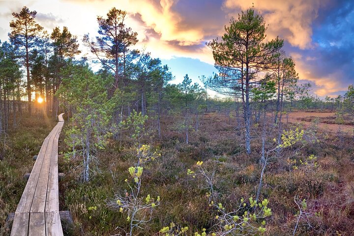 Best of Latvia, Jurmala, Kemeri N Park, Kuldiga City, Food & More