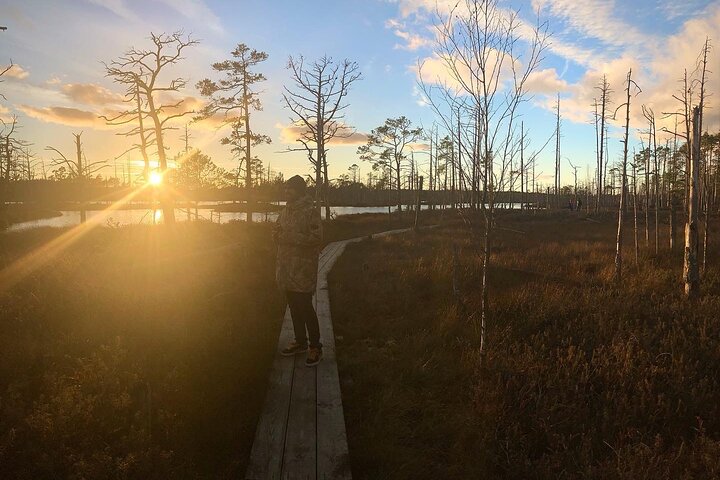 Best of Latvia, Jurmala, Kemeri N Park, Kuldiga City, Food & More