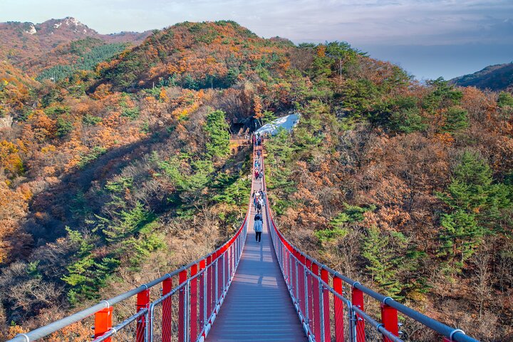 Best DMZ Tour Korea from Seoul (Suspension Bridge & JSA Museum)