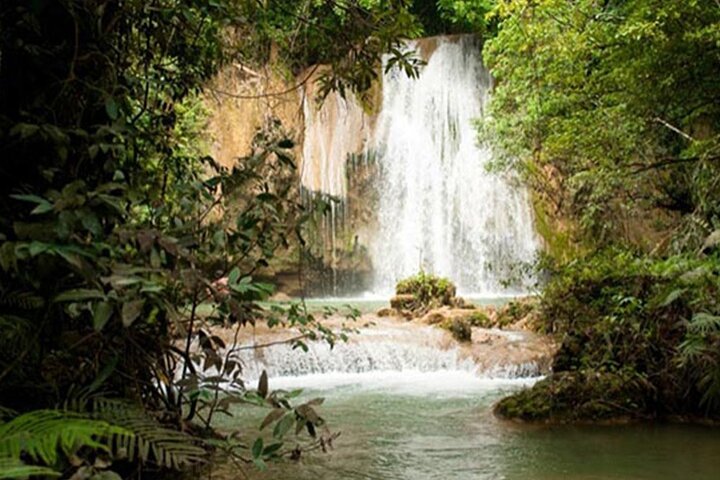 Samana Full Day From Punta Cana