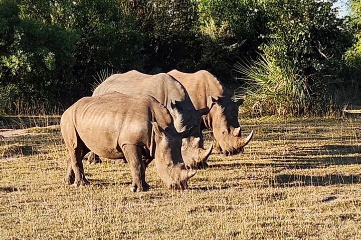 3 Days Explore Zambia Zimbabwe and Chobe Park in Botswana
