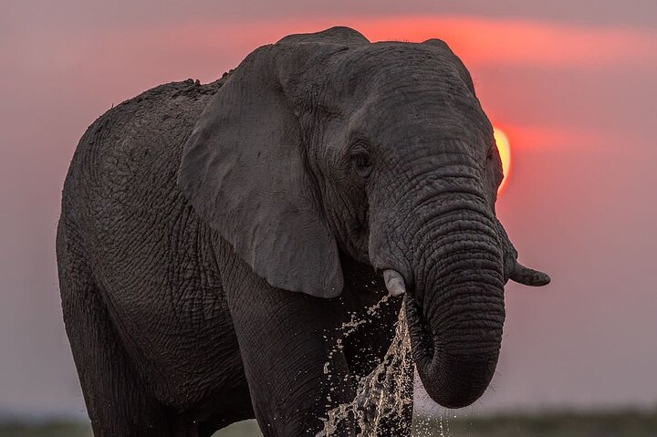 3 Days Explore Zambia Zimbabwe and Chobe Park in Botswana