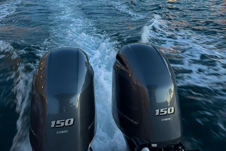 Boat tour, boat party, Dolphin watching, Fishing.