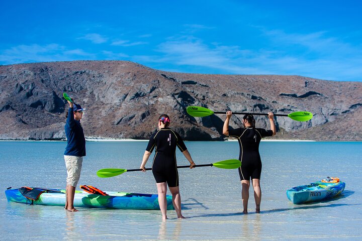 Balandra adventure: sea lions, kayak, and hike in paradise